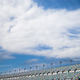 Illustration for article titled Heres Your Day Before The 24 Hours Of Daytona Mega Gallery